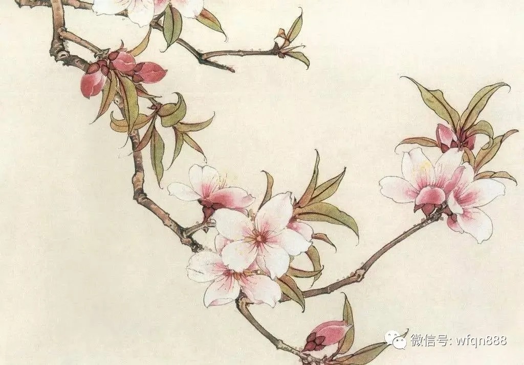 桃花依旧笑春风&书生对少女一见钟情,写下一首千古名诗,还因此抱得美人归