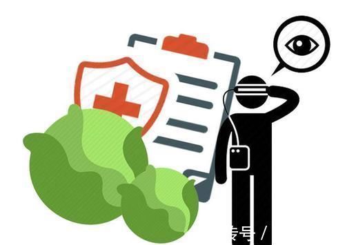 绿叶蔬菜|隔夜饭不能吃多会致癌煮成粥吃安全吗,告诉你正确答案