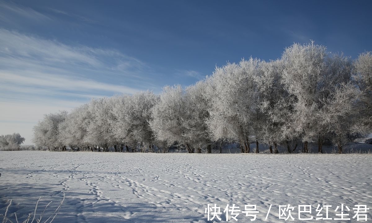 冬花#唐诗唯美春雪七首:夜来春雪照西楼,一枝春雪冻梅花