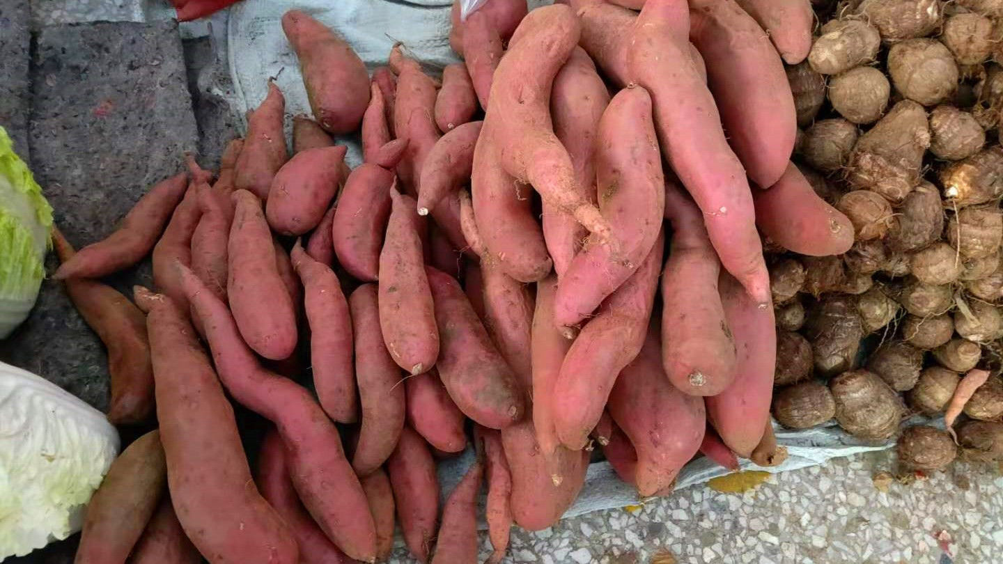 冬天买红薯时,专挑“这3点”,菜农一看是懂行的,不敢糊弄你