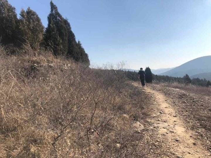 浆水泉|青未了‖泉边有座山