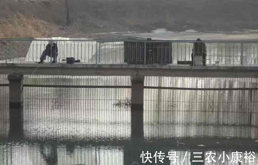 钓鱼|这里才是钓鱼的天堂