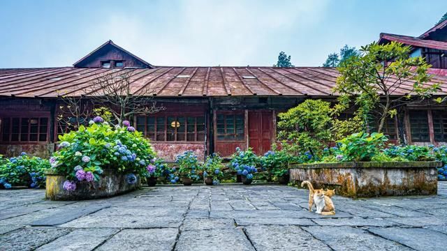 神秘感|峨眉山自带神秘感的云中寺院，有你不曾见过的美