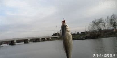 野钓鲫鱼想要不空军 你应该知道的四个打窝补窝技巧