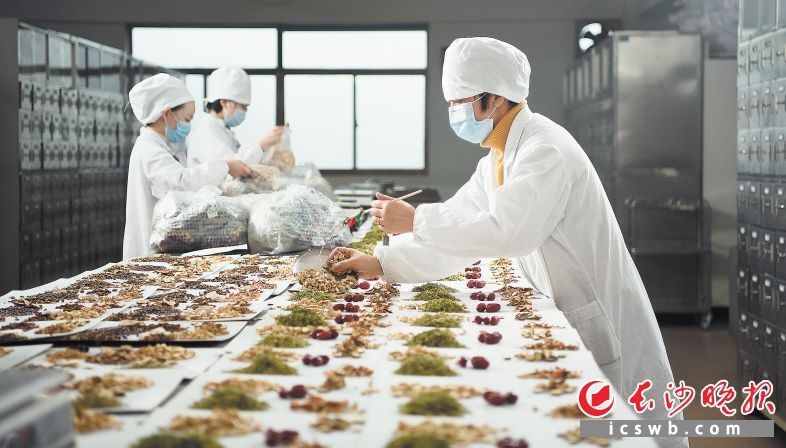 湖南中医药大学|芬芳中医药 巧护患者心