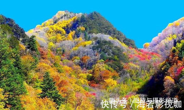 面积|我国面积最大“枫叶景区”！比香山大180倍是中国的阿尔卑斯！