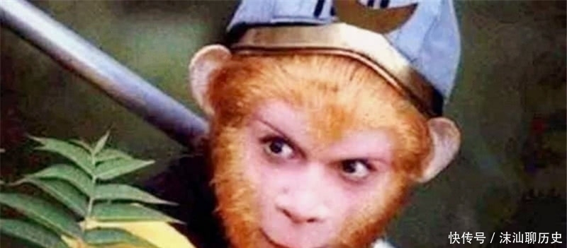 树精|孙悟空为什么非要打死6个树精?你看他们名字连起来是啥