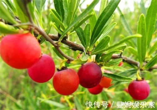 排毒|想长寿要多吃4种食物,排毒养颜、延缓衰老,好处多多