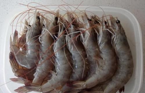 鲜虾保存,直接放冰箱就错了,老渔民教你一招,天天吃新鲜的大虾