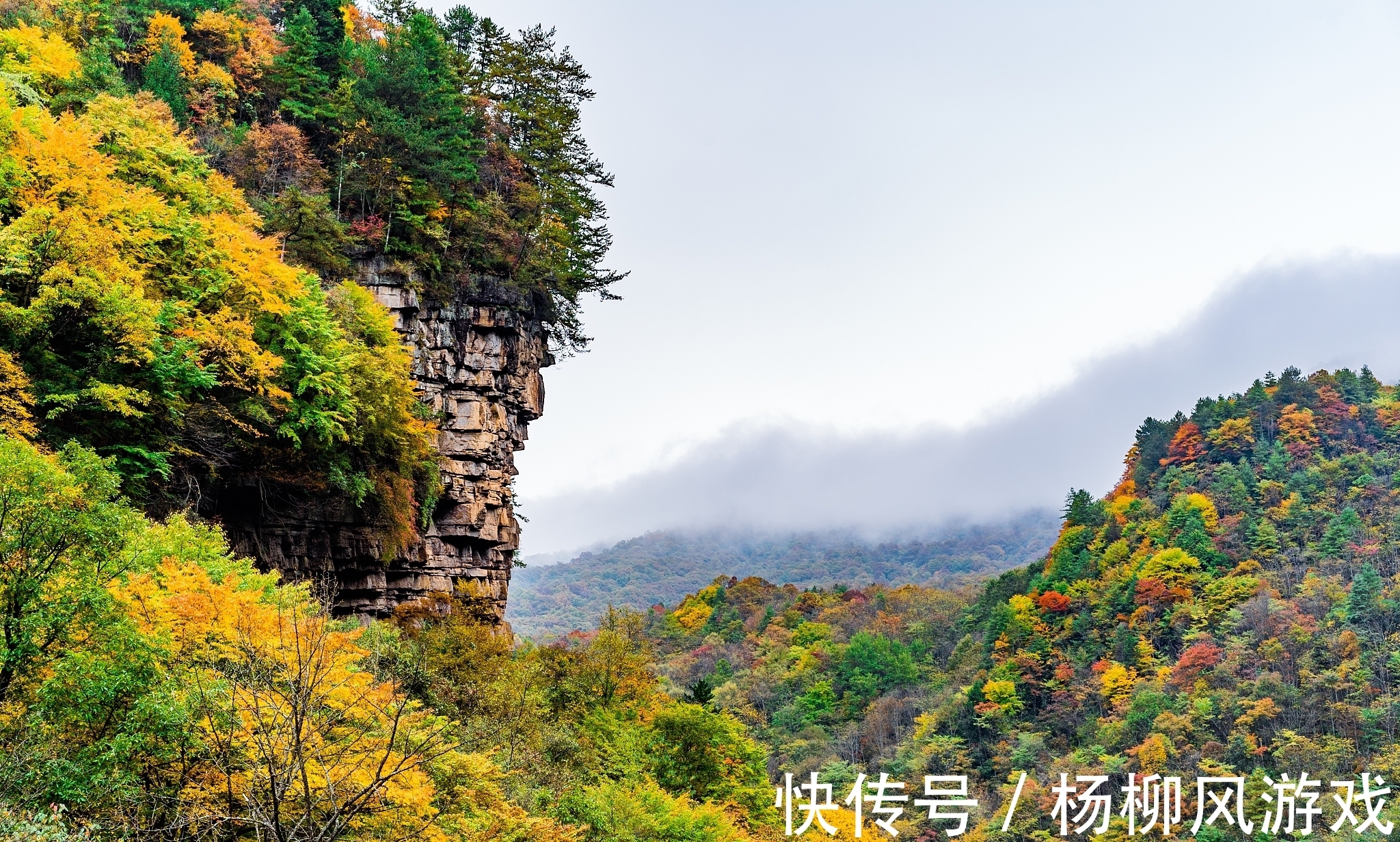 秦岭国家植物园|陕西冷知识：关于陕西这24个世界之最和中国之最，你还知道哪些？