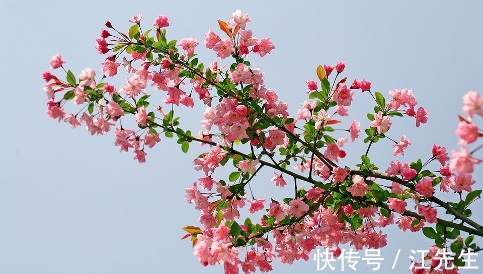 11月开始 漫步桃花雨月老亲自来赐姻缘 能找到真爱的四大生肖 全网搜 11月开始 漫步桃花雨月老亲自来赐姻缘 能找到真爱的四大生肖 全网搜