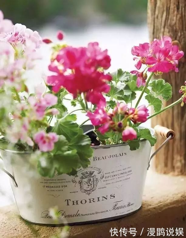 小花|别再花钱买普通花盆了,你意想不到的种花神器!