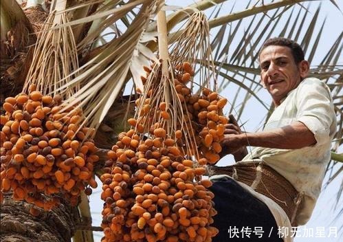 来到湖南娄底,怎能不尝尝这5种特产美食,作为娄底人,你吃过吗