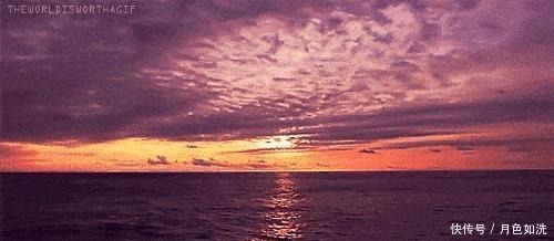 值得|为什么说《人生海海》值得一读听听董卿、高晓松是如何评价它的