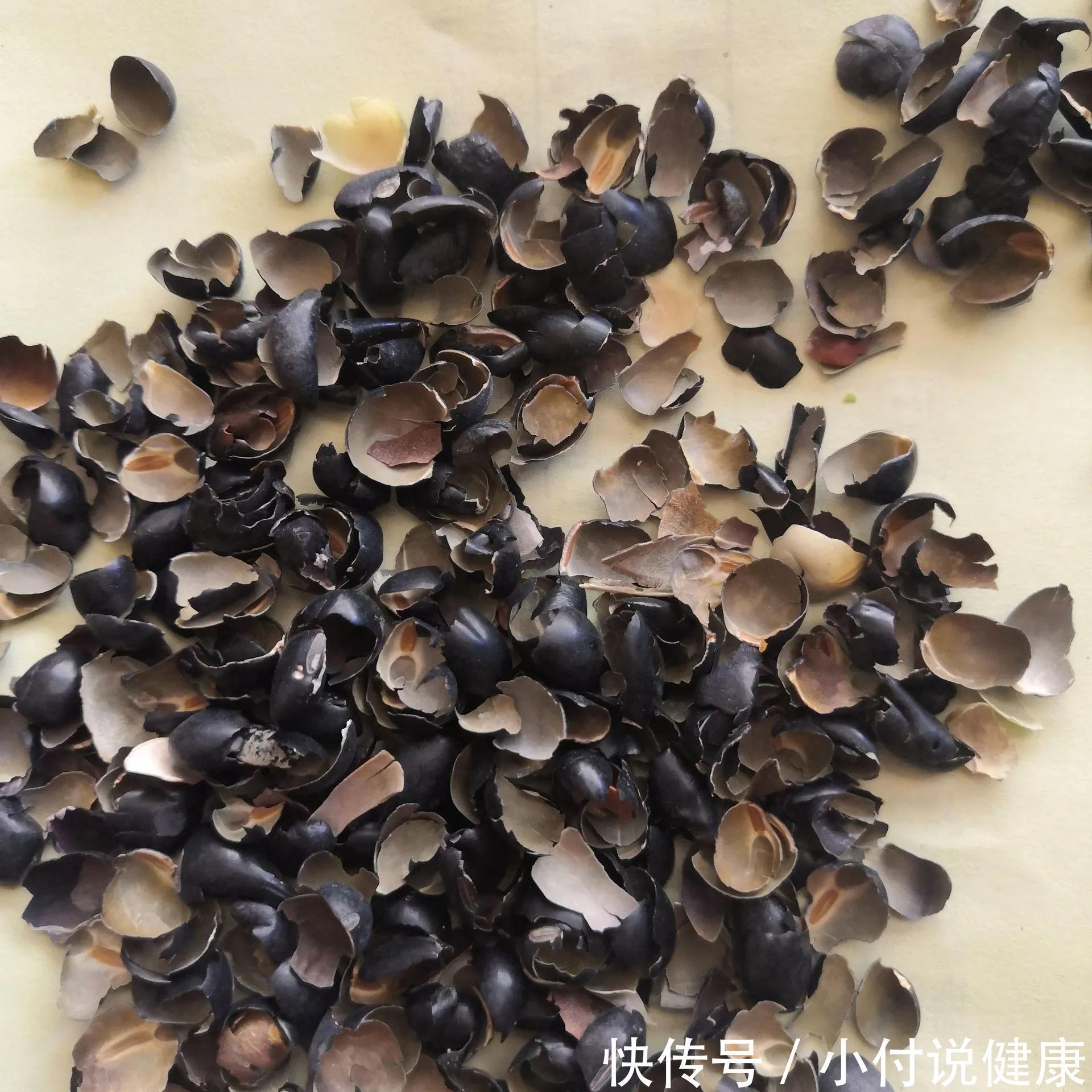 盗汗|中药古今研究：黑豆、黑豆衣