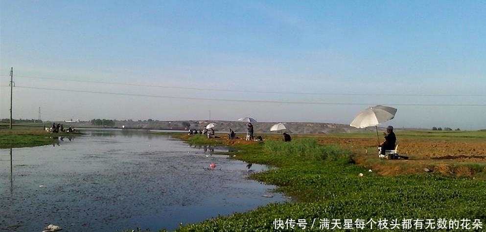 天气一热,鱼儿就不好钓?饵料中添加这些小“配料”,上鱼那叫快