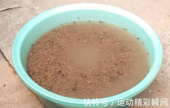 煤渣确实可以养多肉,但是你要注意这几点