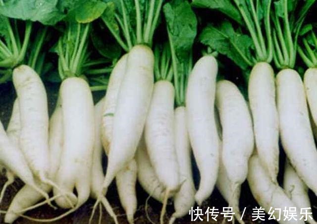 肝明目|120岁长寿老人饮食平常多吃“3道红、3道白”,无需保健品