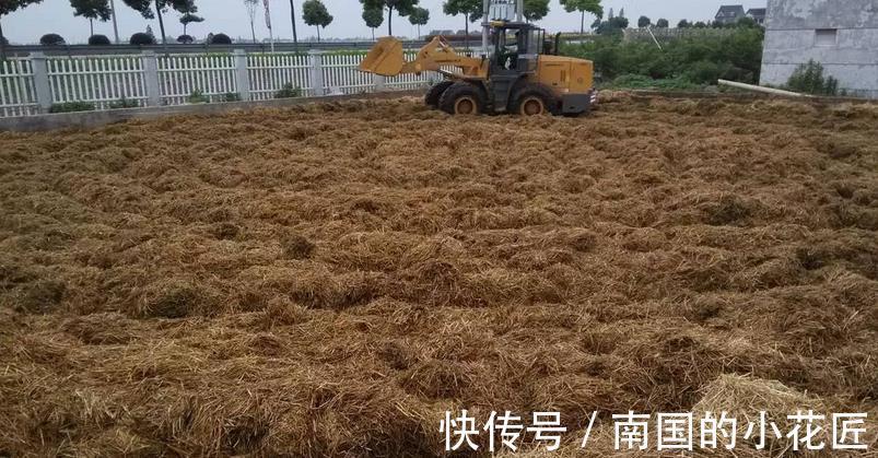 松针土|秸秆有什么用，养花有什么好处，该如何酵熟处理？