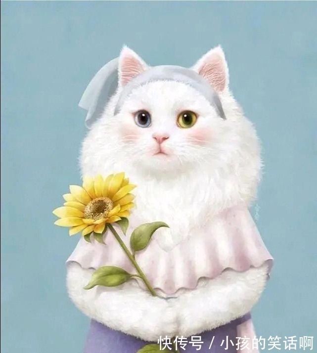 |关于脱发的搞笑金句,妙趣横生,让人哭笑不得!