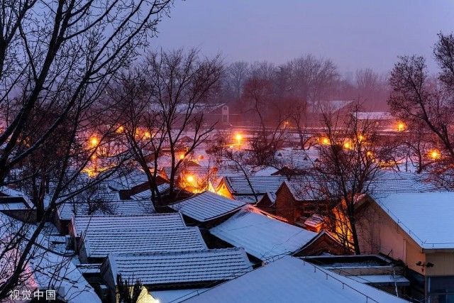 虎年|虎年北京第一场雪！冰墩墩也去故宫拍照啦！