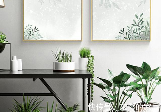 非洲堇|适合秋天养的7种花，好养易活，只要环境合适，爱开花，花期长