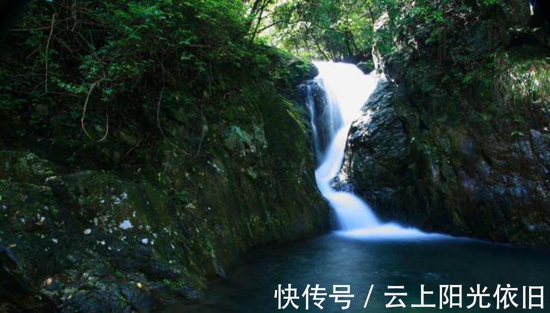 赠质上人@一首很有哲理的唐诗,每一句都是人生箴言,值得我们去细细品读!