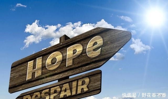 深度|生活没有苟且(深度美文)