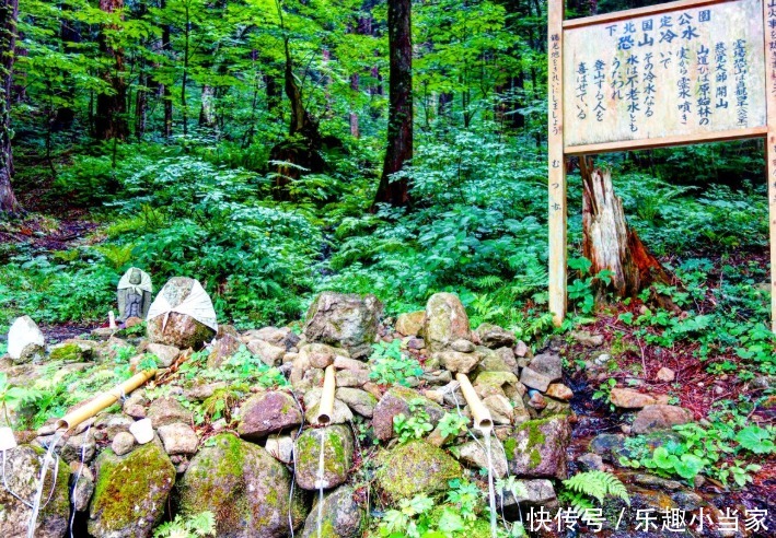 8个日本秘境 看完才发现 之前我去了 假日本 全网搜 8个日本秘境 看完才发现 之前我去了 假日本 全网搜