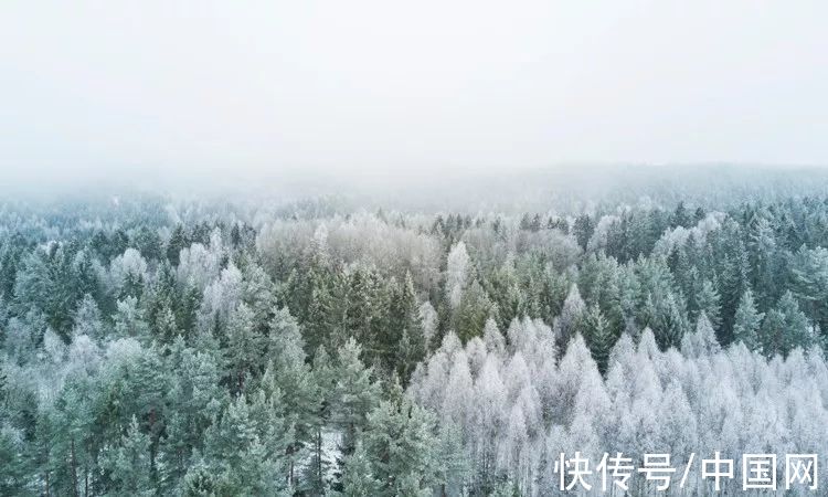 qq.com@夜读 | 小雪：飞雪如花落，岁岁又年年