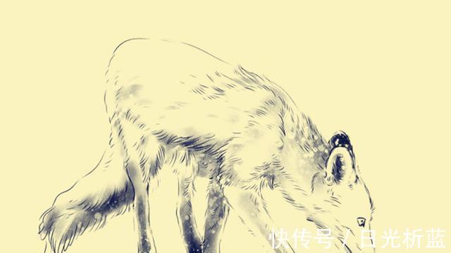 秦氏!聊斋:郎中救下溺水少妇,半年后他被狼群包围,两只老虎救了他