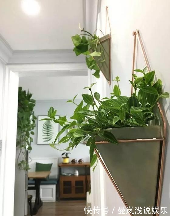 酚醛|新房装修好不要着急入住,切记要做好4步,别因为着急而忽视健康