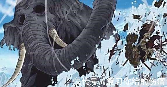 生物|海贼王最强的4只神秘生物,1只打残四皇,1只能毁灭五老星