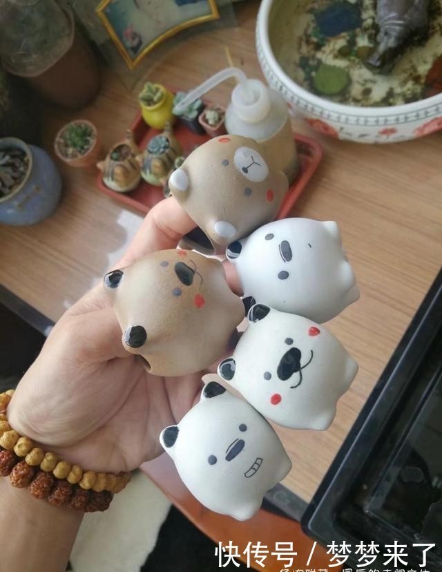 幸福|小小的幸福,多肉露养到秋天的收获