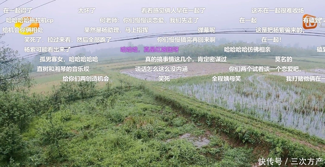 灯泡 向往5变红娘节目?张艺兴杨紫甜蜜互动,何炅带头回家不当电灯泡