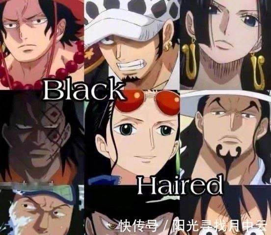 紫发|海贼王五种发色强者,紫发最弱,黑发排第二,白发最强