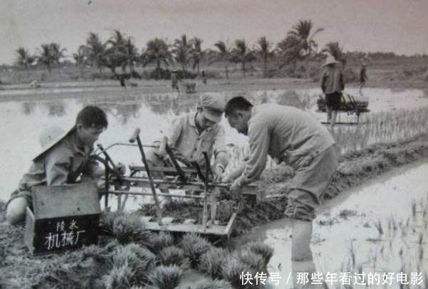 中国|日本护士被俘虏,后来嫁给中国军人,在农村生活了30多年