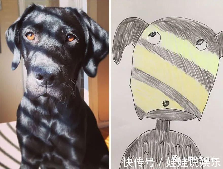 pet#随手涂鸦,自己觉得是“垃圾”的画作,没想到却在网上卖疯了