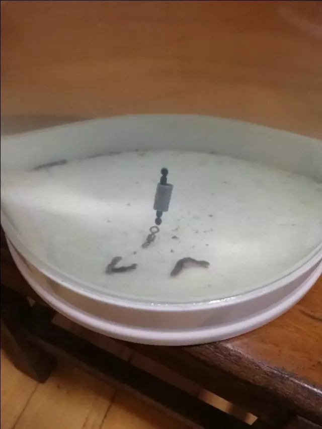 调漂的这三个“要素”你要是不考虑,只能说你会调漂而不是懂调漂