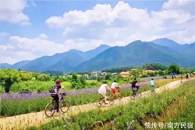 民宿|睡进惠州博罗这座拥有4000㎡乡野稻田秘境里的民宿丨禾肚里