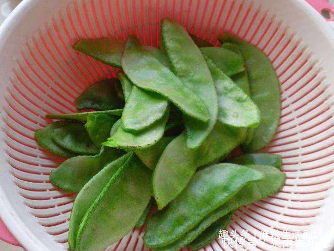 把扁豆放|我家一年吃几十斤,清脆鲜嫩,赶走湿气,家人常吃脾胃好