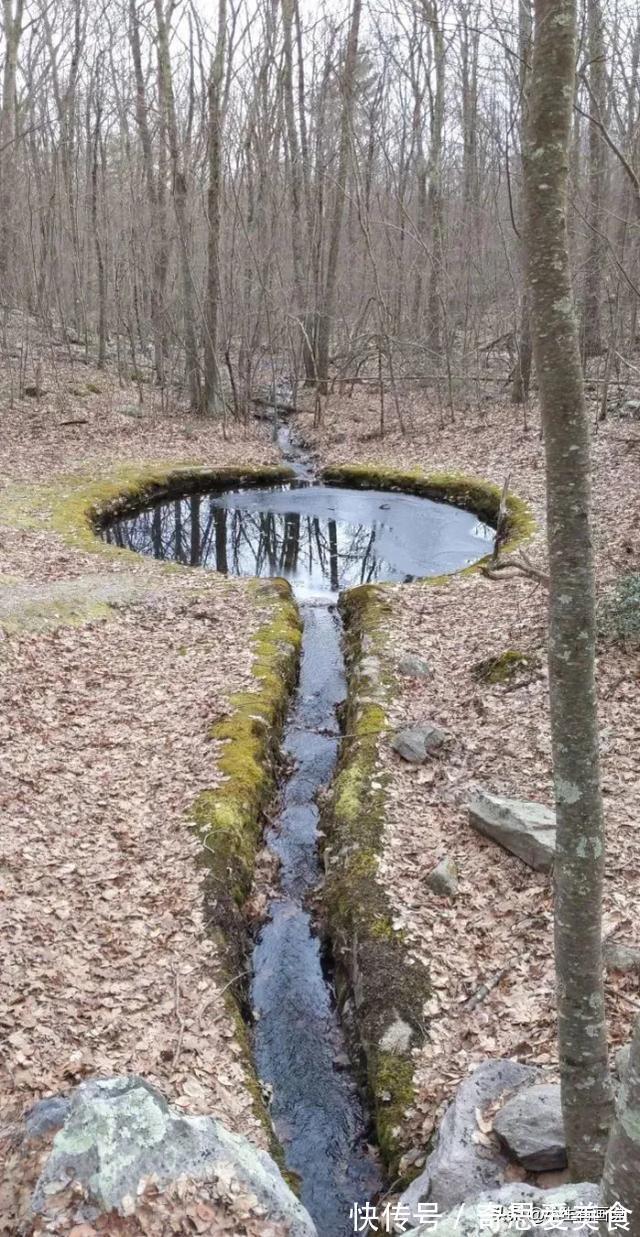 网络&网络有多“恐怖”?不管你问什么,“万能”的网友都知道