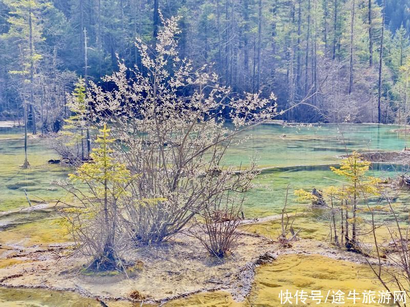 自驾阿坝，探秘通往嫩恩桑措（神仙池）景区的绝美之路