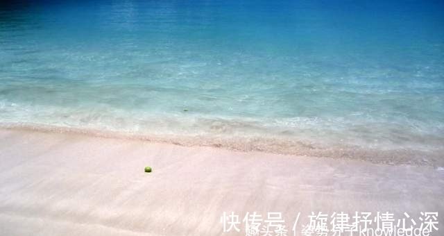 毒番石榴树|死亡之树!吃了会中毒,烧它也可能中毒,还有人吃过它的果实