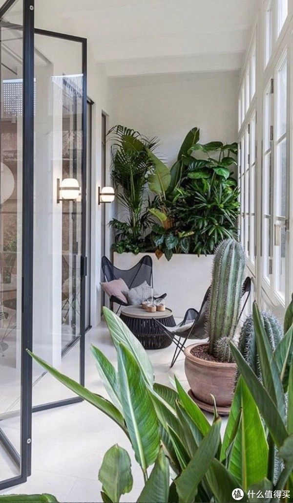 种菜|阳台装修有哪些注意事项？