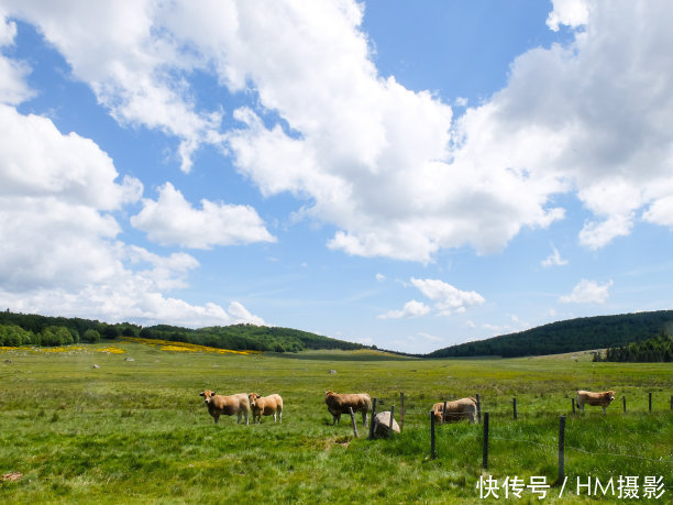 中国国家地理评的“最美6大草原”，全去过令人羡慕，你去过几个