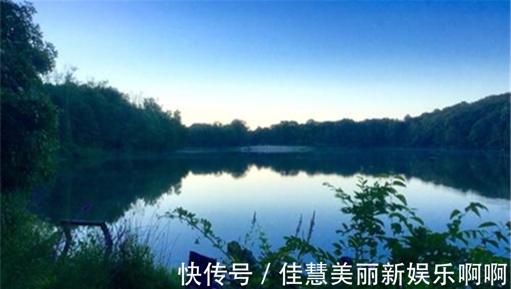 水温|盛夏钓位深浅选择“绝招”：鱼“吃饭”时钓浅，鱼“休息”时钓深