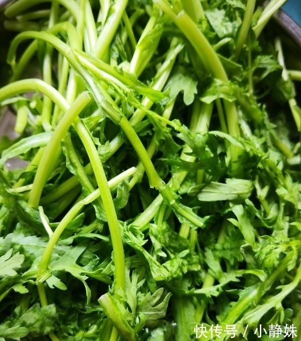 茼蒿|夏天，这菜要多吃，保护心血管，隔日排出宿便，多吃皮肤不粗糙