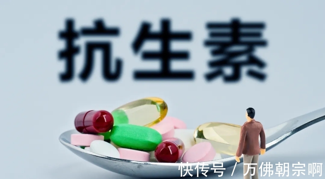 菌群|滥用抗生素太伤身，如何重建身体抵抗力？