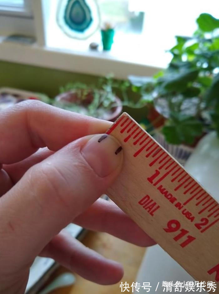 消毒剂|28个天才般的生活技巧,看完又涨知识了